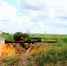 image - GazetaRB.Ru
