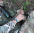 image - GazetaRB.Ru