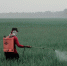 image - GazetaRB.Ru