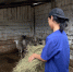 photo_2025-07-21_15-41-37 (2).jpg - БГСХА им. В.Р. Филиппова