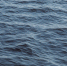 В Бурятии в Селенге утонул 19-летний юноша - Газета Номер один