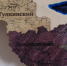 В районе Бурятии дюжина заведений общепита использует сомнительную продукцию - Газета Номер один
