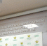 У злостного неплательщика алиментов из Бурятии арестовали участок в Забайкалье - Газета Номер один