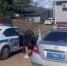 image - GazetaRB.Ru