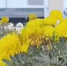 image - GazetaRB.Ru