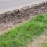 image - GazetaRB.Ru