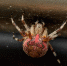 image - GazetaRB.Ru