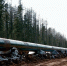 Россия, Китай и Монголия договорились о строительстве газопровода «Сила Сибири-2» - Infpol.Ru