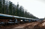 Россия, Китай и Монголия договорились о строительстве газопровода «Сила Сибири-2»