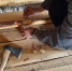 image - GazetaRB.Ru