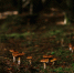 image - GazetaRB.Ru