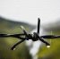 image - GazetaRB.Ru