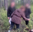 В Забайкалье «чёрные» лесорубы вырубили более 460 деревьев - ИА Байкал-Daily