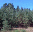 image - GazetaRB.Ru