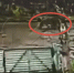 image - GazetaRB.Ru