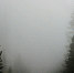 image - GazetaRB.Ru