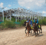 Улан-удэнский ипподром получил поддержку Минсельхоза России - ИА Байкал-Daily