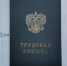 В Бурятии лесозаготовителя оштрафовали за неофициальное трудоустройство - ИА Байкал-Daily