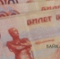 В Чите хозяйка собаки заплатит компенсацию за нападение на ребёнка - ИА Байкал-Daily