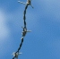 image - GazetaRB.Ru