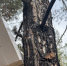 image - GazetaRB.Ru