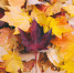 image - GazetaRB.Ru