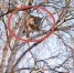 image - GazetaRB.Ru