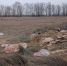 image - GazetaRB.Ru