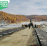 Фото В селе Михайловка Закаменского района приступили к асфальтированию проезжей части моста - Газета Новая Бурятия