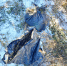 image - GazetaRB.Ru