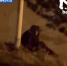 image - GazetaRB.Ru