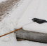 image - GazetaRB.Ru