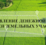 Граждане, имеющие трех и более детей, смогут получить социальную выплату взамен предоставления земельного участка - Министерство имущественных отношений