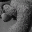 В Чите мать и отчим отправились в тюрьму за жестокие истязания дочери - ИА Байкал-Daily