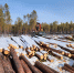 image - GazetaRB.Ru