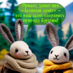 Стартовал всероссийский экологический конкурс «Зелёный зачёт» для школьников и студентов