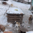 image - GazetaRB.Ru