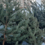 image - GazetaRB.Ru