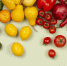 image - GazetaRB.Ru
