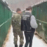 В иркутском питомнике провели обыски после нападений собак на людей - ИА Байкал-Daily