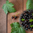 image - GazetaRB.Ru