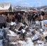 image - GazetaRB.Ru