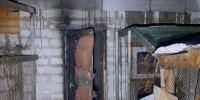 image - GazetaRB.Ru