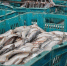 Жителям Бурятии посоветовали, какие продукты к Новому году купить заранее - ИА Байкал-Daily