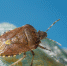 image - GazetaRB.Ru