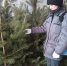 image - GazetaRB.Ru