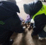В декабре под контролем Россельхознадзора в Монголию отправлено более 500 тонн картофеля - ГТРК Бурятия