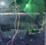image - GazetaRB.Ru