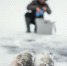 image - GazetaRB.Ru