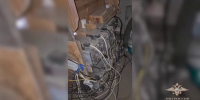 В Бурятии пять мужиков незаконно создали передвижную криптоферму - Газета Номер один